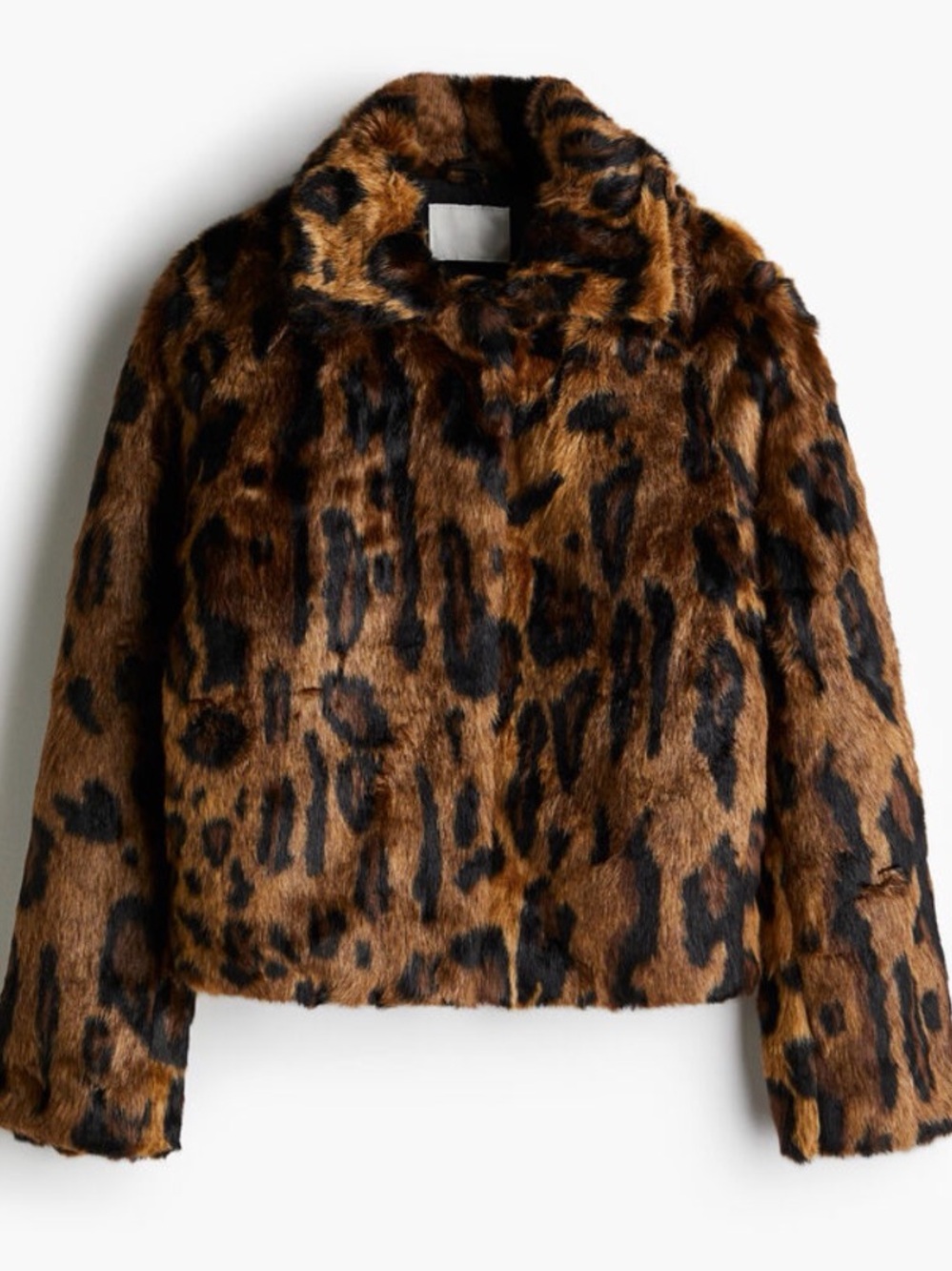 NWT H&M Leopard Print Faux Fur Short Jacket Fluffy Cropped Shag Coat Cheetah M